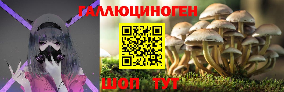 Галлюциногенные грибы MAGIC MUSHROOMS  Вход с VPN  Сибай 